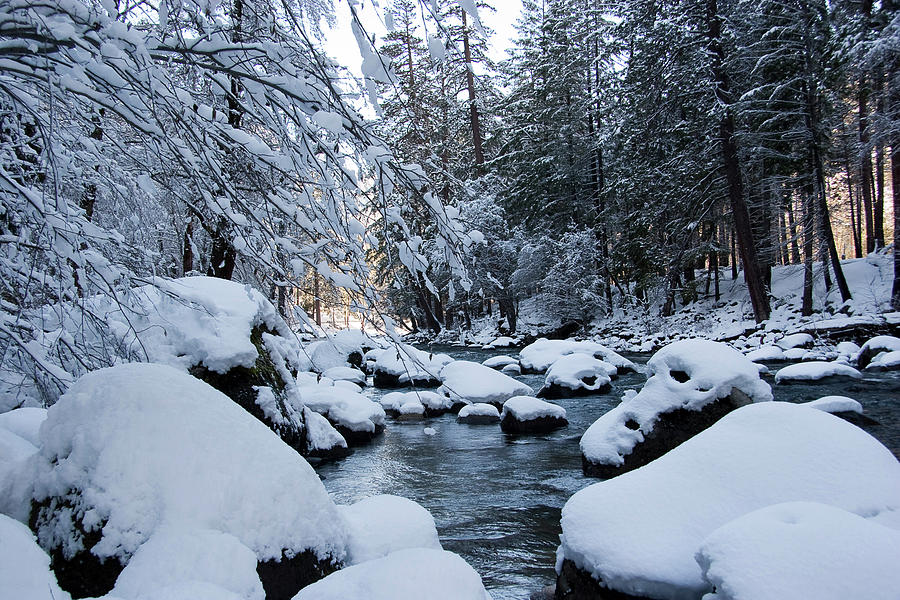 Merced River Fresh Snow Photograph by Frank Polito - Fine Art America