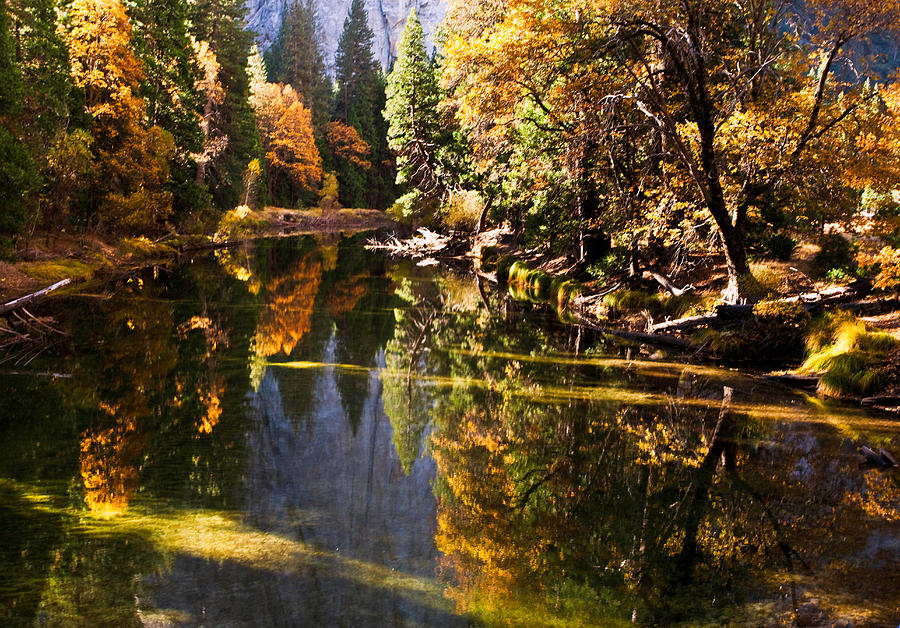 Merced River in Fall Photograph by David Schroeder - Fine Art America