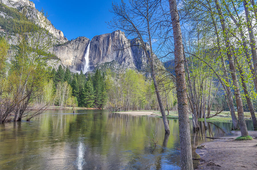 Merced River in Spring Photograph by Scott McGuire