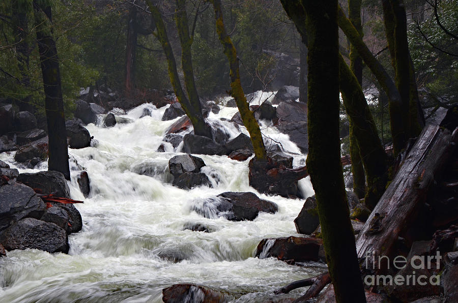 Merced River Whitewater Photograph by Debby Pueschel