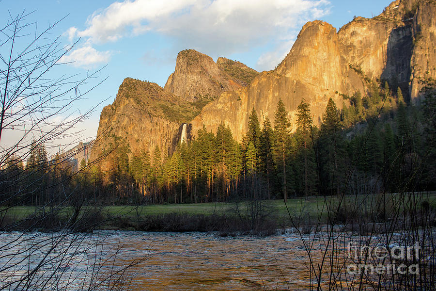 Merced River Yosemite color Photograph by Cheryl Del Toro