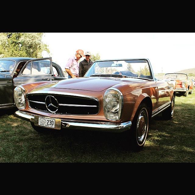 Mercedes Photograph - Mercedes 230sl Pagoda. Thought I Better by Anthony Croke