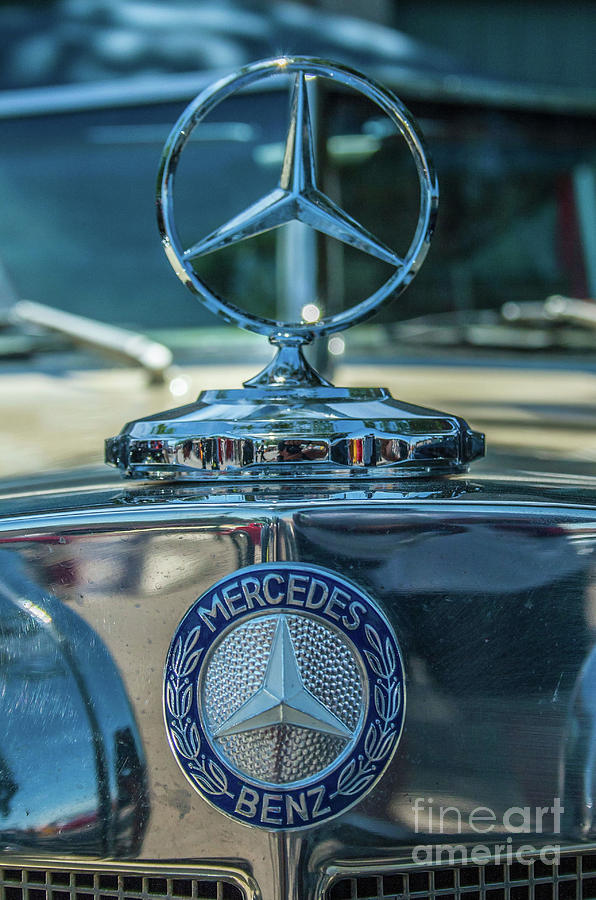 Mercedes Benz 2 Photograph by Tony Baca