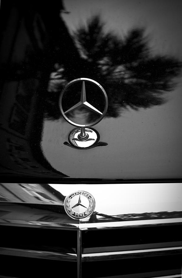 Mercedes Benz Palm Reflection 2 Photograph by Dustin K Ryan