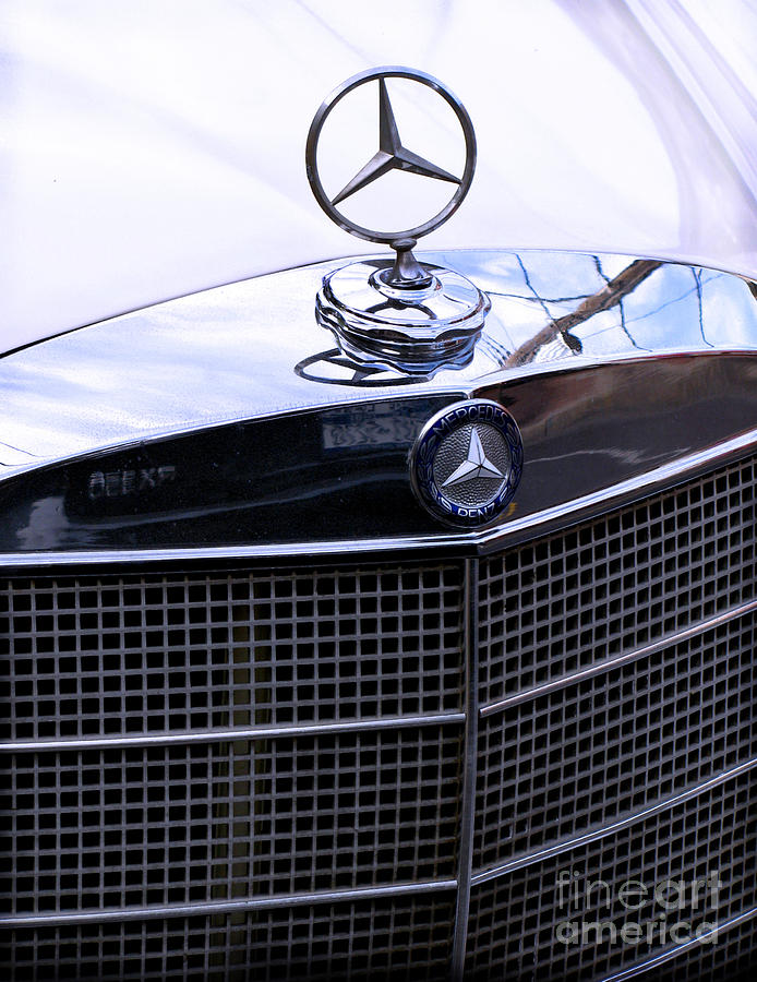Mercedes Photograph by Colleen Kammerer