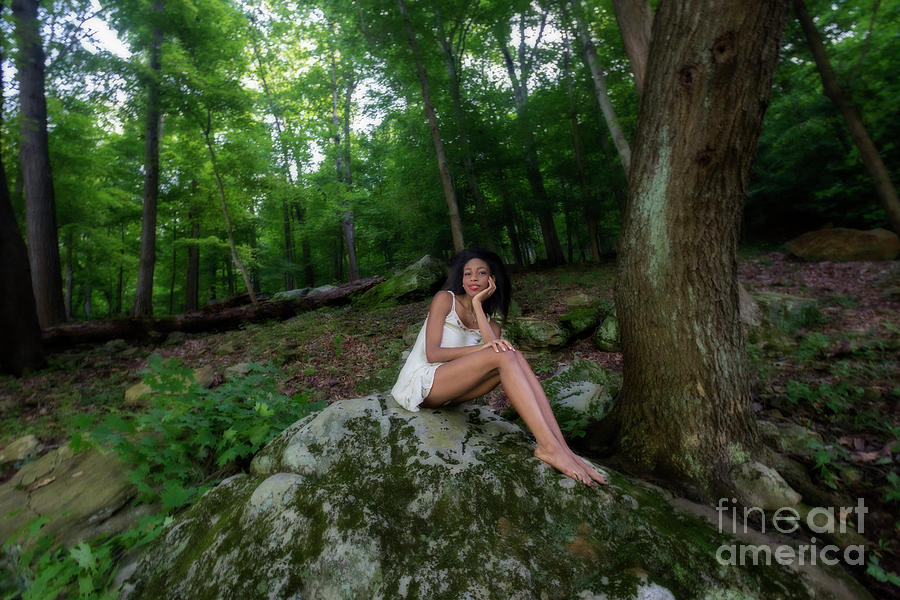 Mercedes on a rock in the woods Photograph by Dan Friend