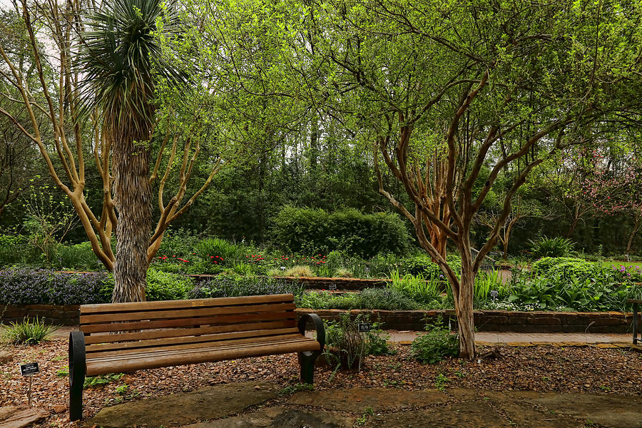 Botanic Garden Photograph by Judy Vincent