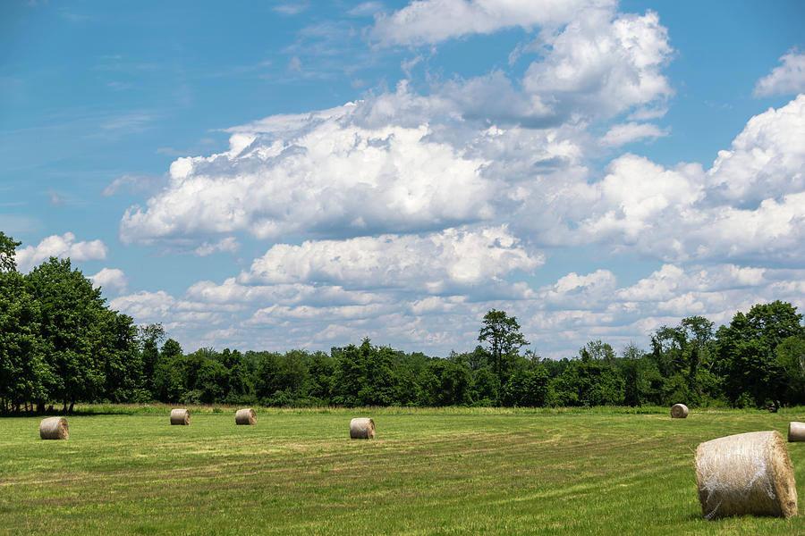 Mercer County Landscape Photograph by Steven Richman