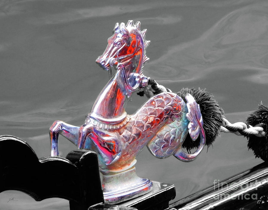 Merhorse of Venice Photograph by Suzette Kallen