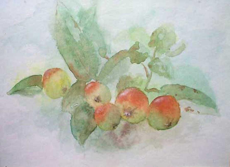 Apple Painting - Merideths Tree by Robert Laper
