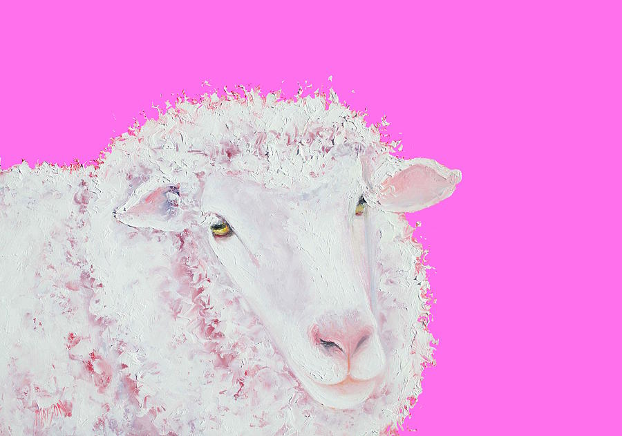 Sheep Painting - Merino Sheep on hot pink by Jan Matson