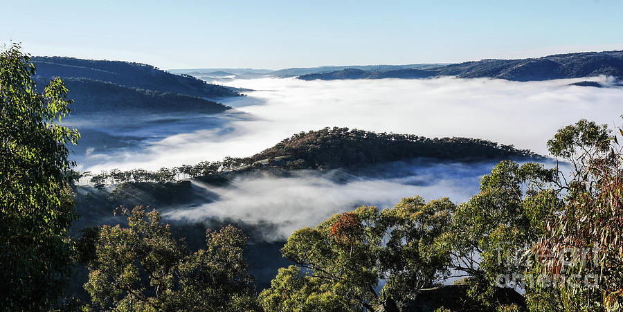 Merlins Lookout Fog Photograph by Lexa Harpell