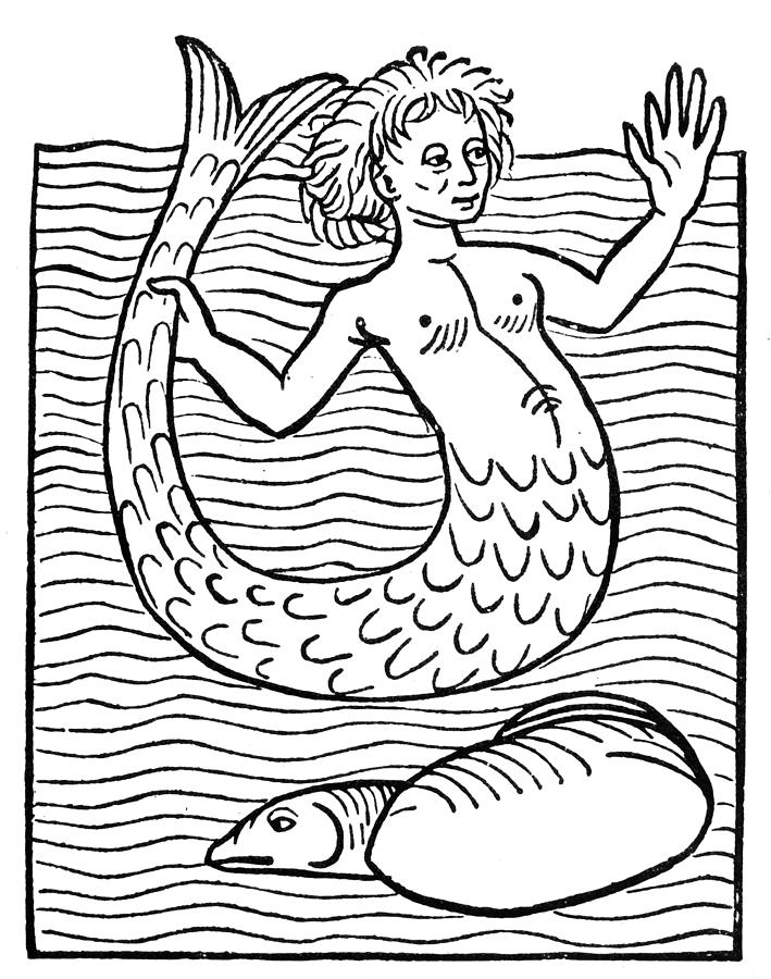 Mermaid, 1491 Photograph by Granger