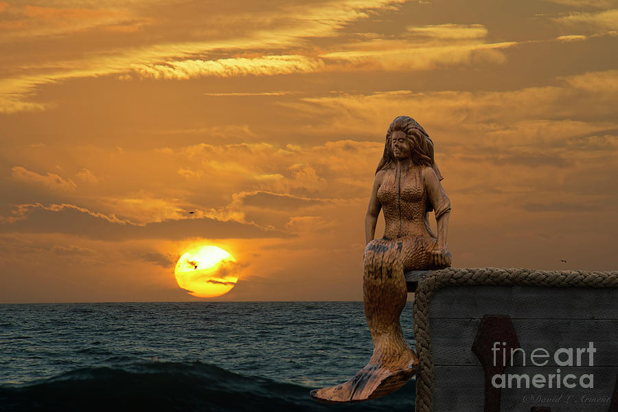 Mermaid at Sunset Photograph by David Arment