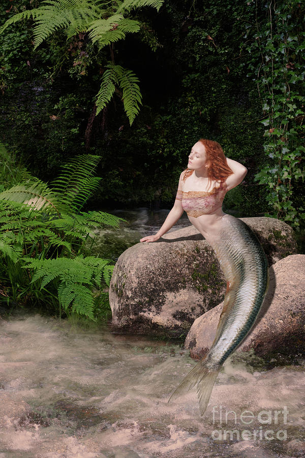 Mermaid at the lagoon Photograph by Clayton Bastiani