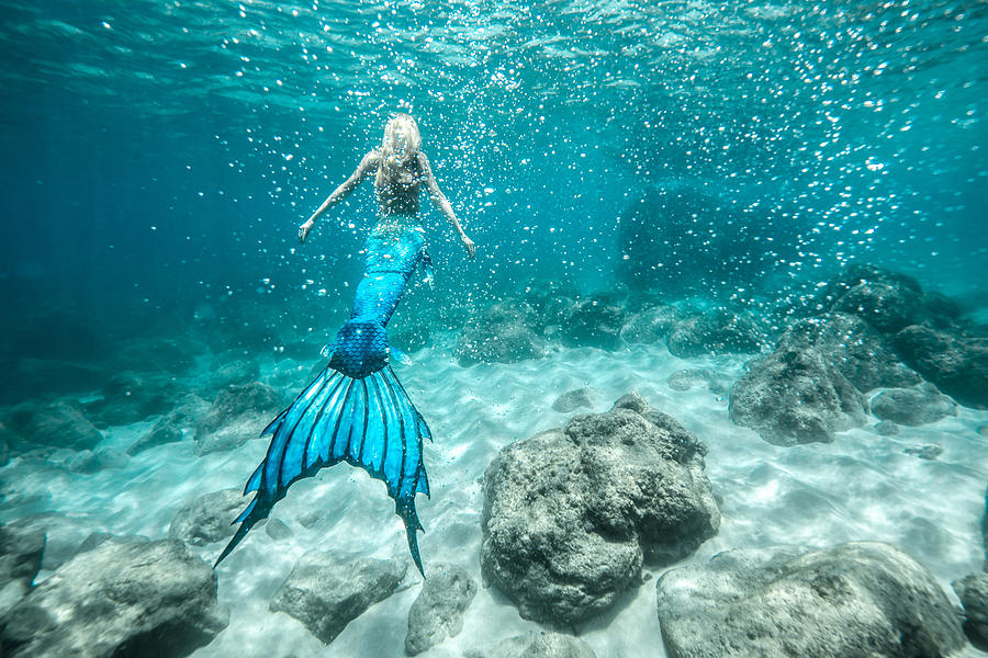 Mermaid Blues  Photograph by Leonardo Dale