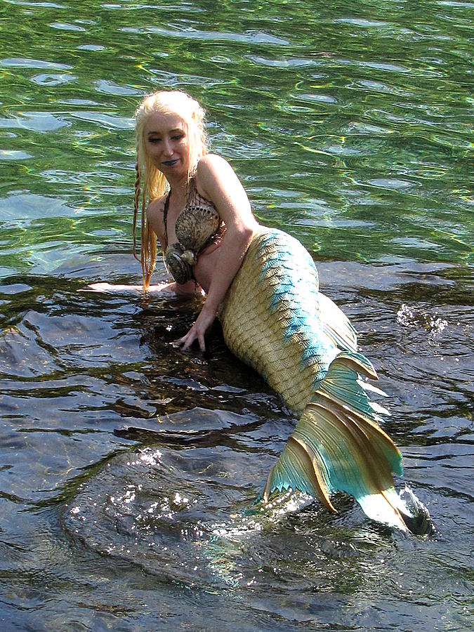 Mermaid Photograph by Christopher Mercer