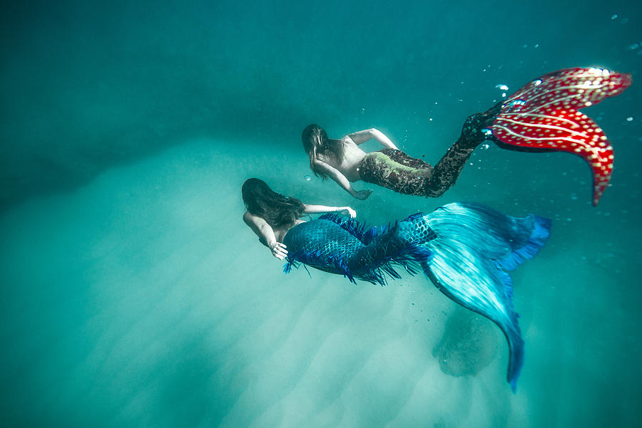 Mermaid Friends Photograph by Leonardo Dale