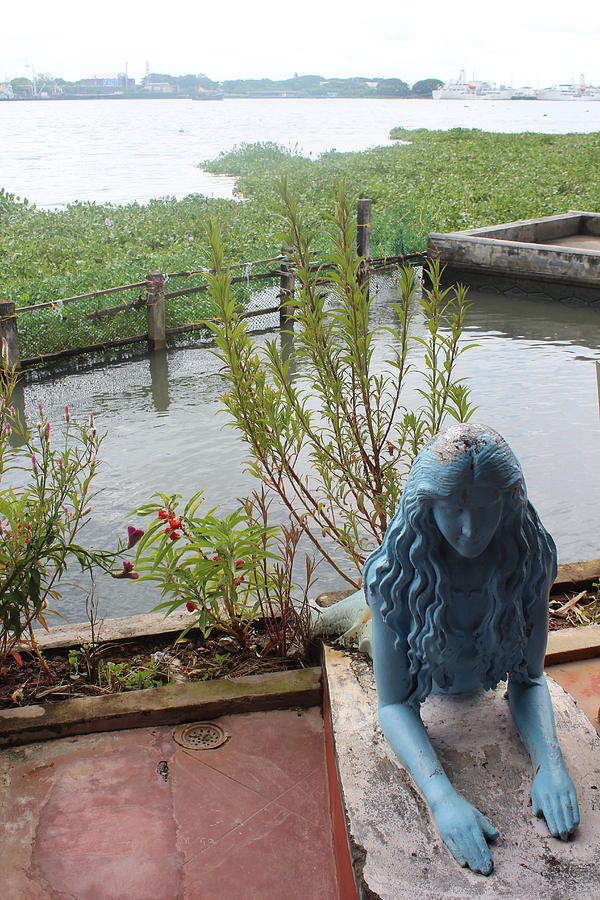 Mermaid in Fort Kochi Photograph by Jennifer Mazzucco