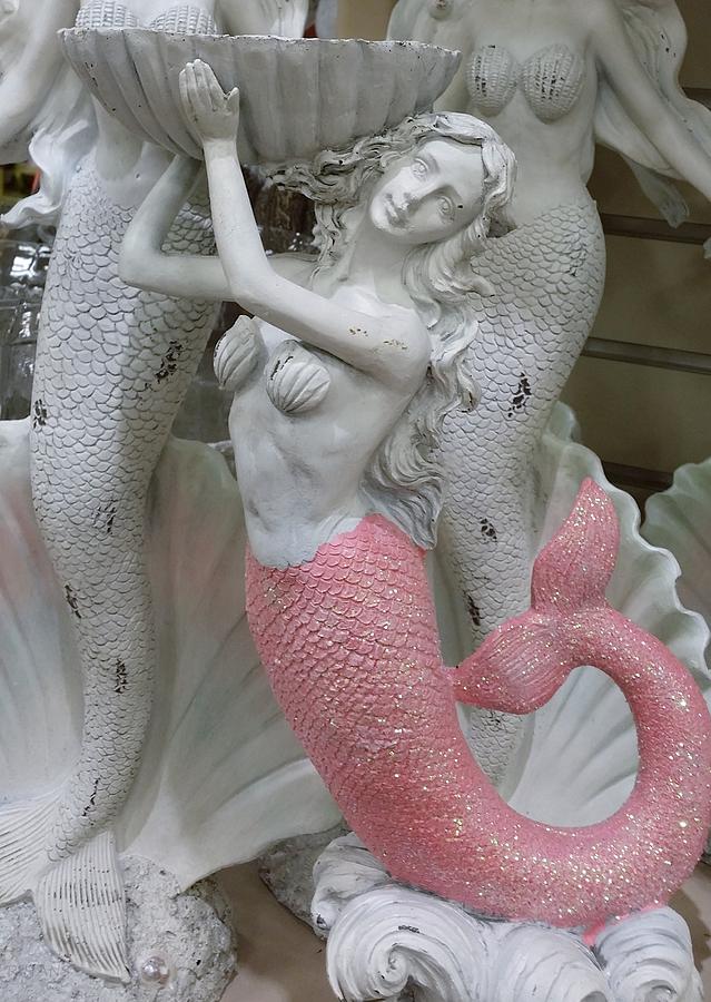 MERMAID in PINK Photograph by Rob Hans