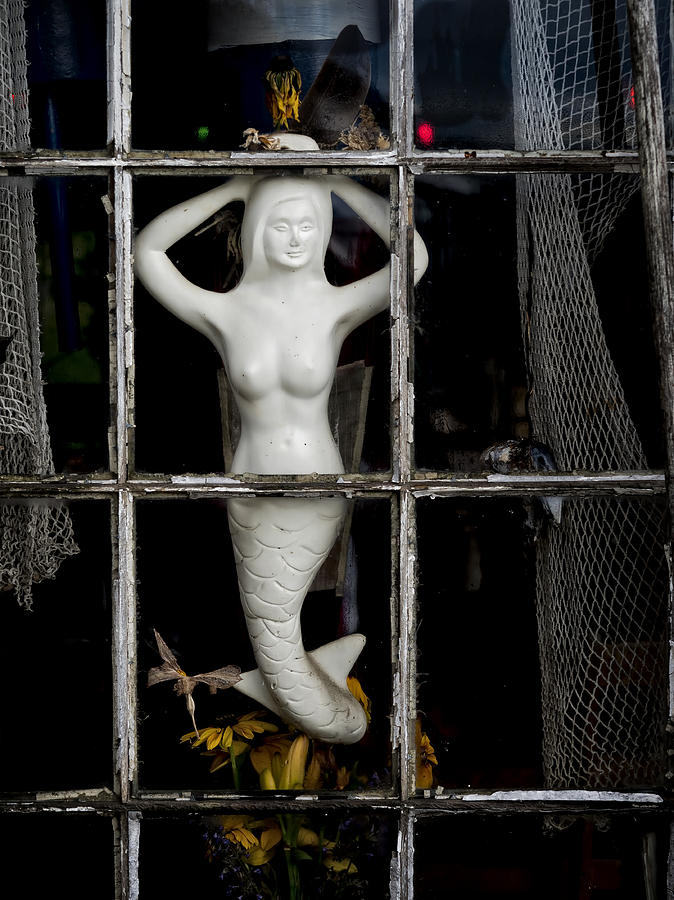 Mermaid in the Window Photograph by David Kay