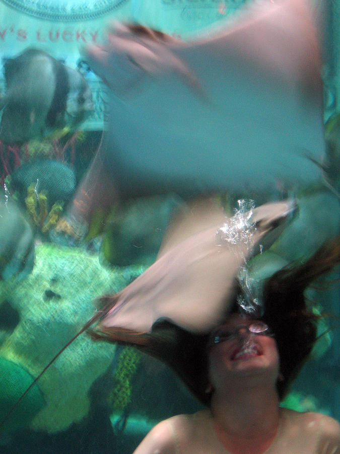 Mermaid Photograph by Julie Niemela