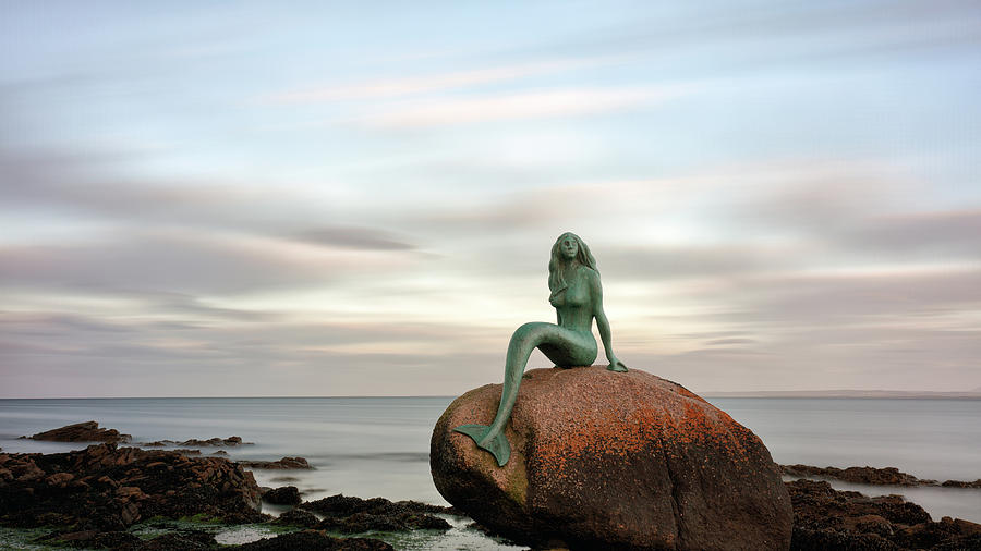 Mermaid of the north east Photograph by Grant Glendinning