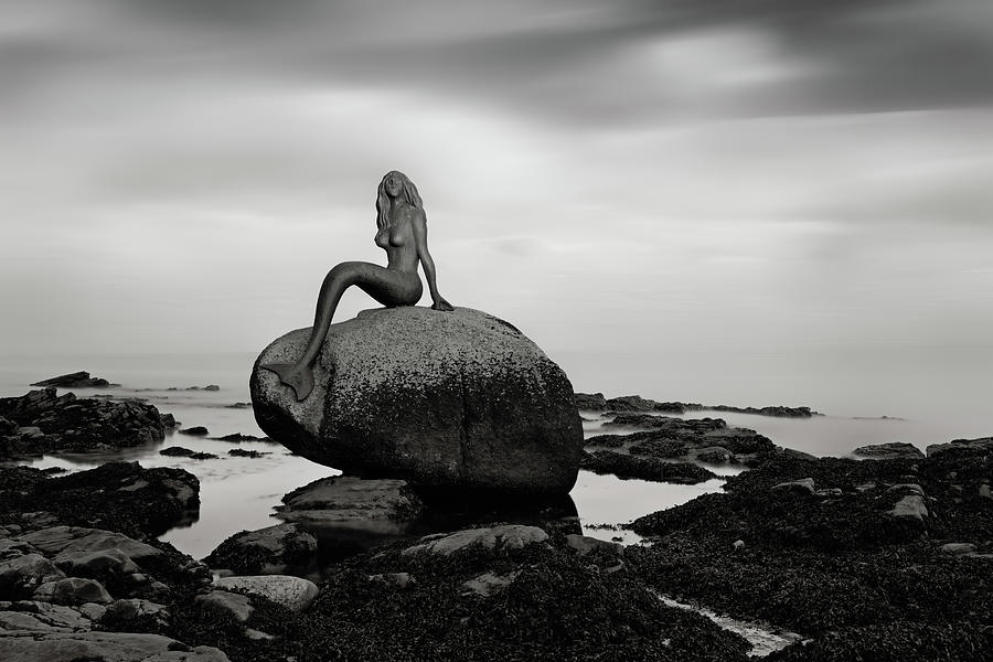 Mermaid of the north mono Photograph by Grant Glendinning
