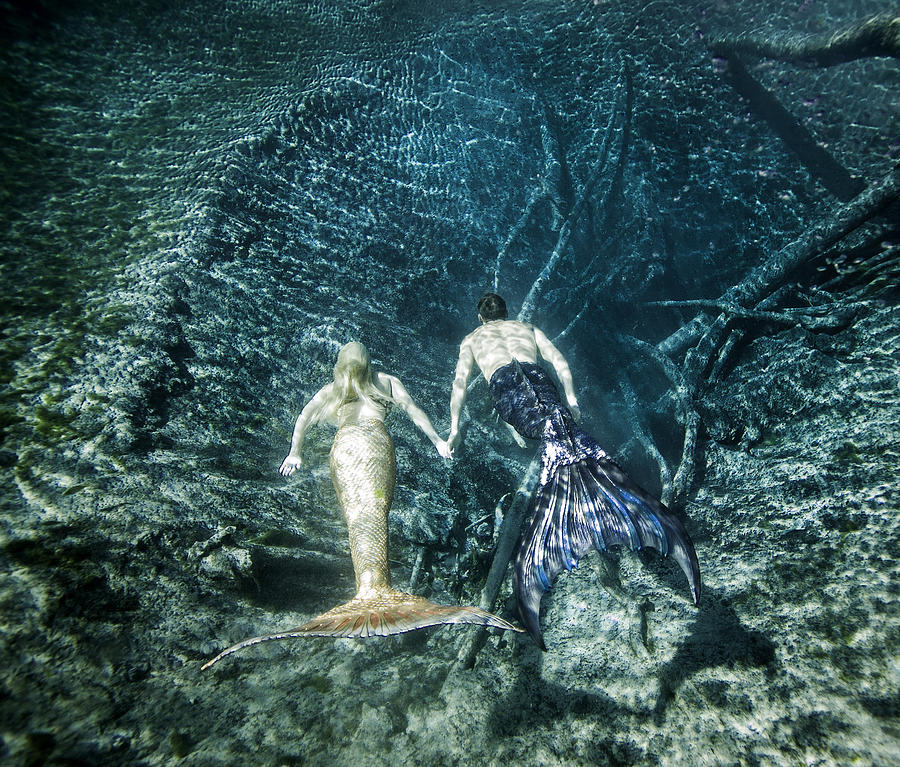 Mermaid pair Photograph by Steve Williams