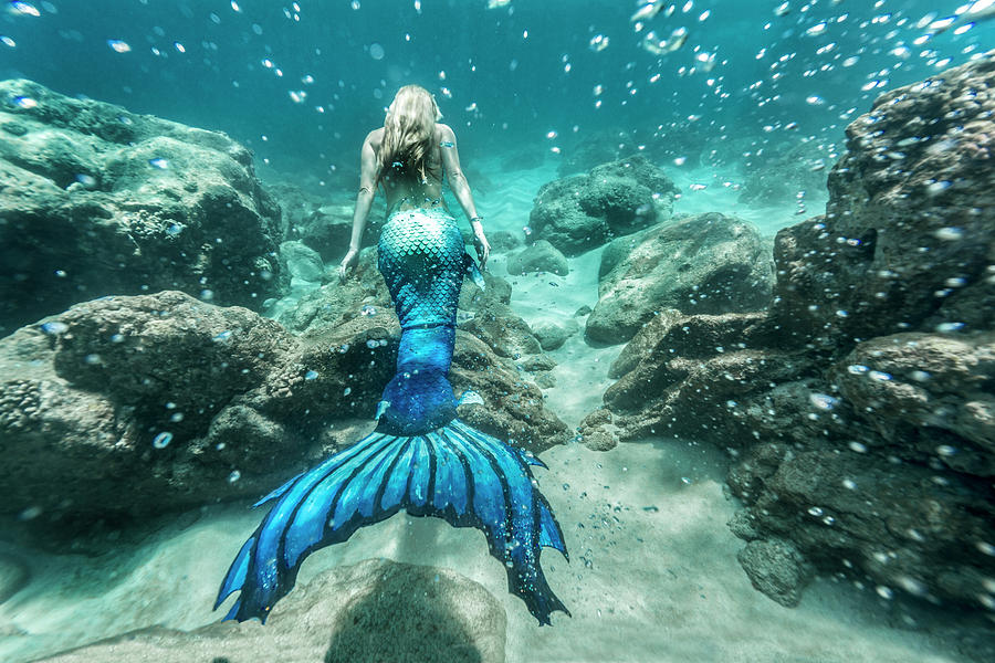 Mermaid Sparkles Photograph by Leonardo Dale