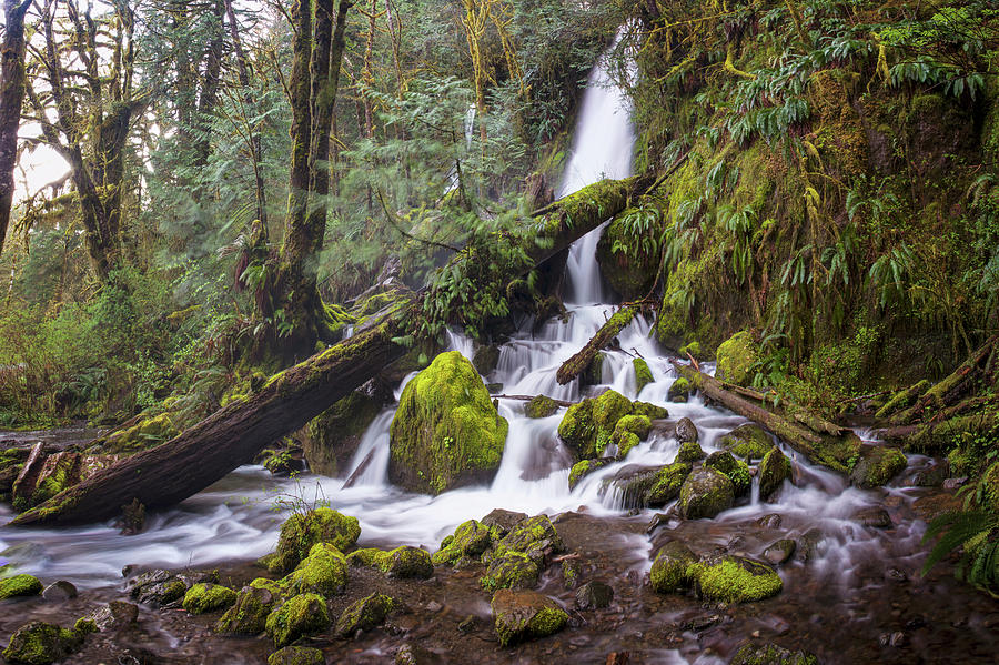 Merriman Falls Photograph by Craig Voth - Pixels