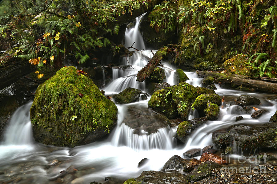 Merriman Falls Creek Photograph by Adam Jewell | Fine Art America