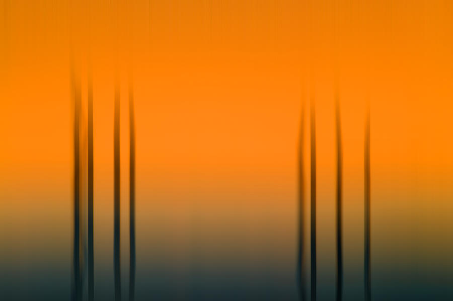 Merritt Island Sunset Digital Abstracts Motion Blur  Photograph by Rich Franco