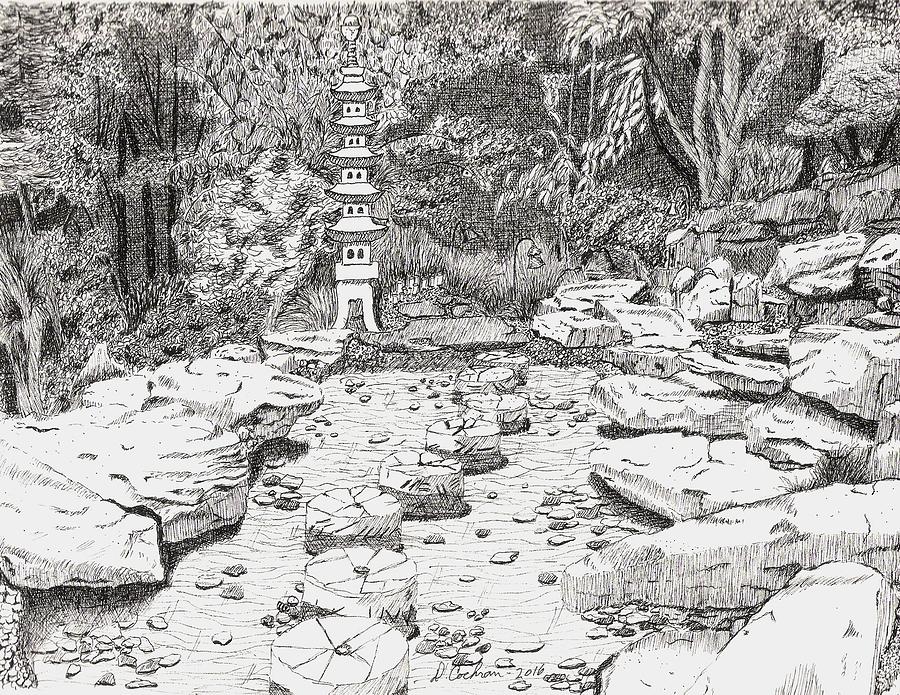 Washington D.c. Drawing - Merriweather Zen Garden by David Cochran