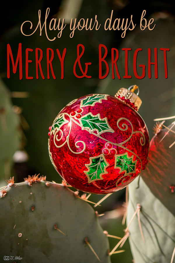 Merry and Bright Photograph by Teresa Wilson