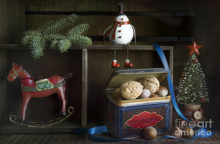 Merry Christmas 2 Photograph by Elena Nosyreva