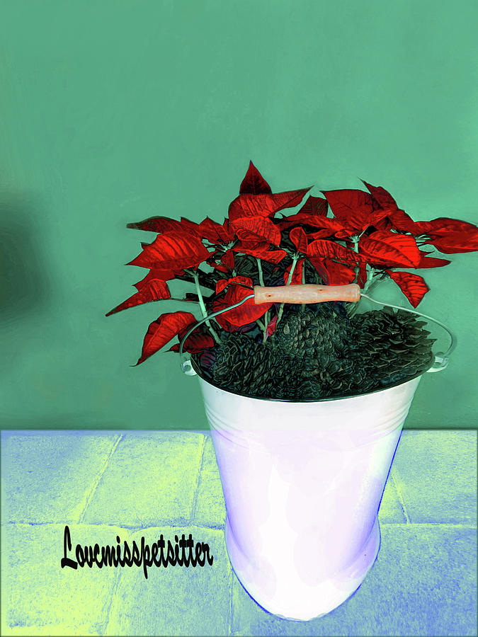Art Gallery Online Digital Art - Merry Christmas Art 48 by Miss Pet Sitter