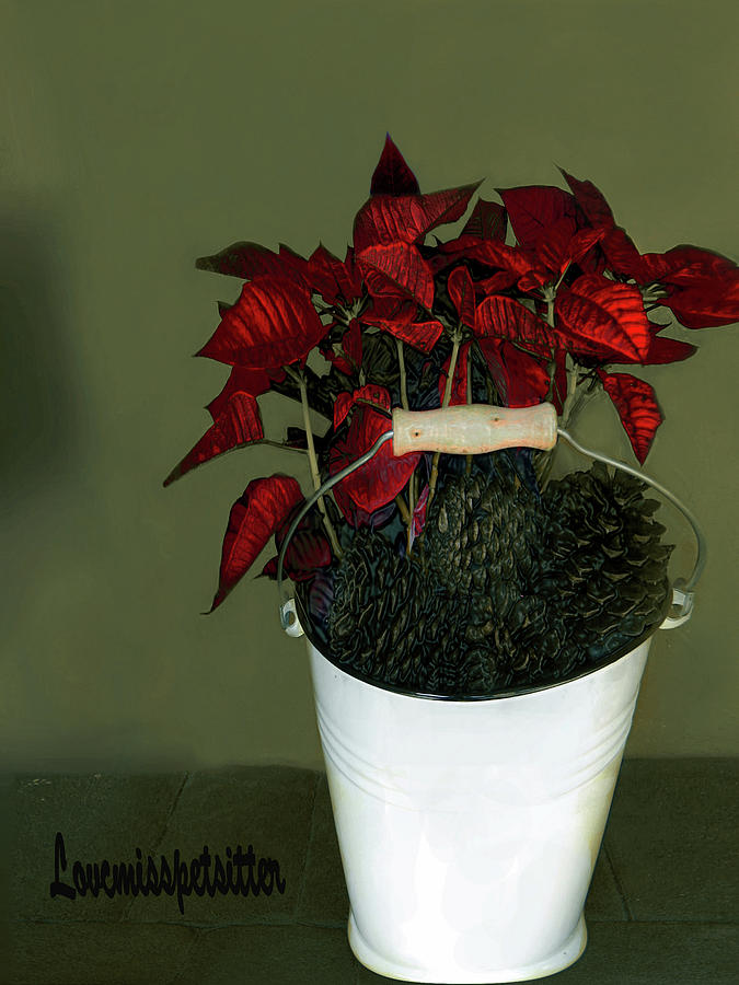 Art Gallery Online Digital Art - Merry Christmas Art 49 by Miss Pet Sitter