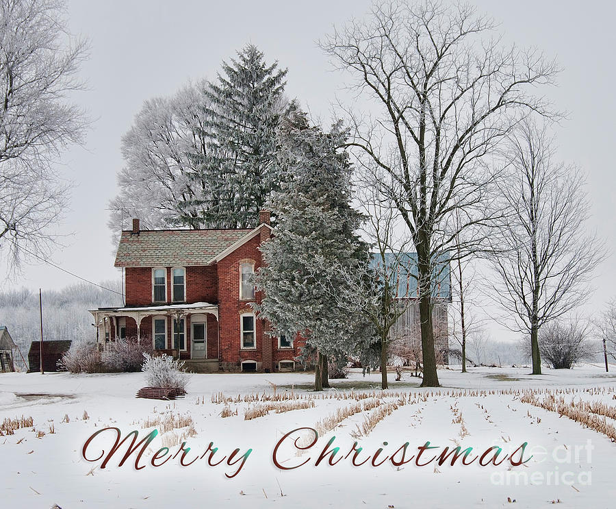 Merry Christmas Photograph by David Arment