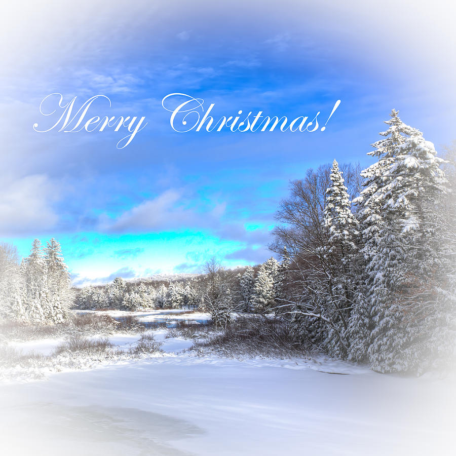 Merry Christmas Photograph by David Patterson