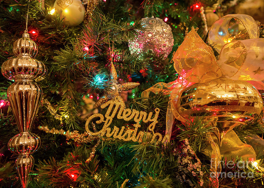 Merry Christmas Photograph by Dennis Hedberg