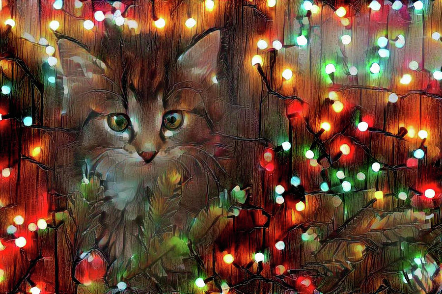 Merry Christmas from Kitty Photograph by Lilia D