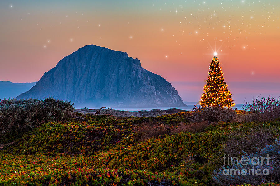 Merry Christmas From Morro Bay Photograph by Mimi Ditchie