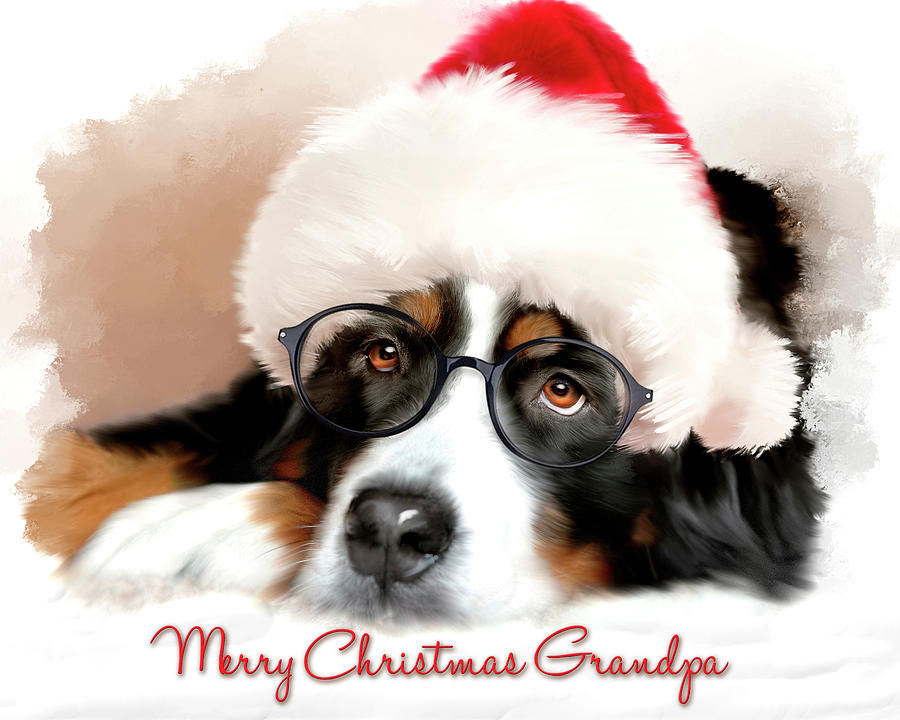Merry Christmas Grandpa Mixed Media by Mary Timman