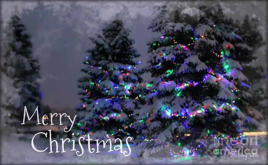Christmas Photograph - Merry Christmas I by Denise Irving
