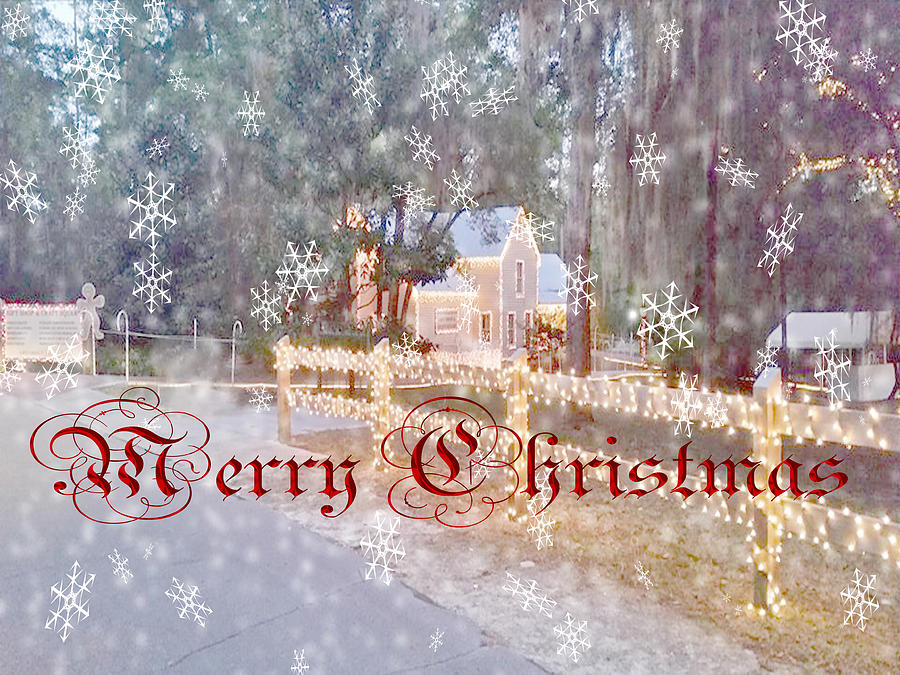 Merry Christmas Photograph by Judy Hall-Folde