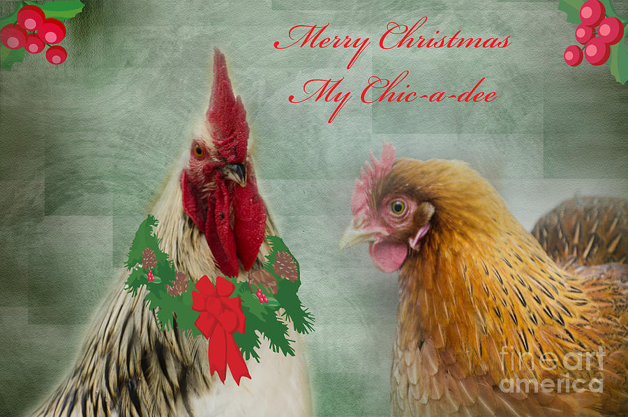 Merry Christmas My Chic-a-dee Photograph by Donna Brown | Fine Art America