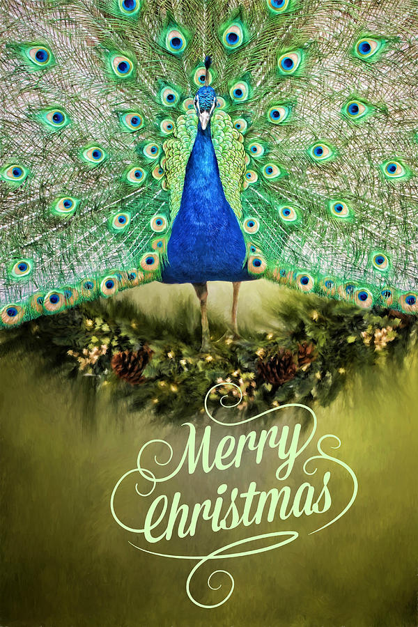Merry Christmas Peacock Wreath Photograph by Alice Gipson