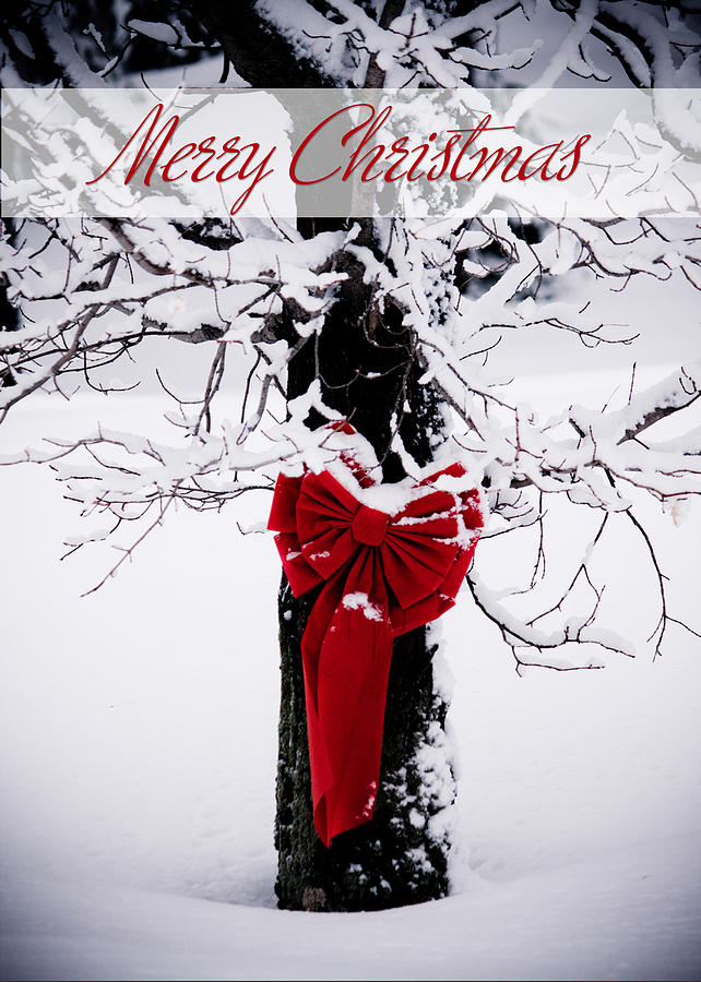 Merry Christmas Red Ribbon Photograph by Maggie Terlecki
