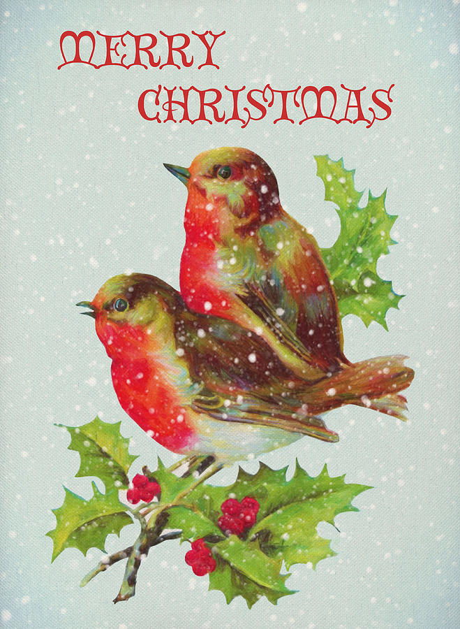 Merry Christmas Snowy Bird Couple Digital Art by Sandi OReilly
